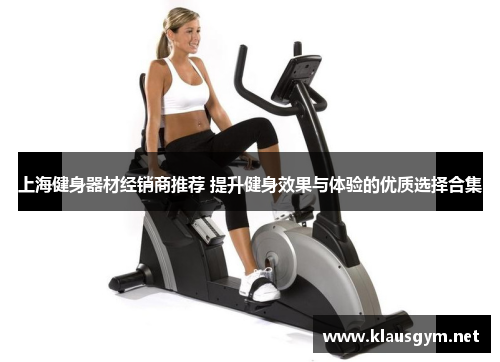 上海健身器材经销商推荐 提升健身效果与体验的优质选择合集