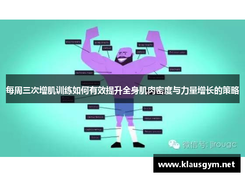 每周三次增肌训练如何有效提升全身肌肉密度与力量增长的策略