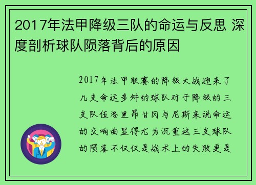 2017年法甲降级三队的命运与反思 深度剖析球队陨落背后的原因