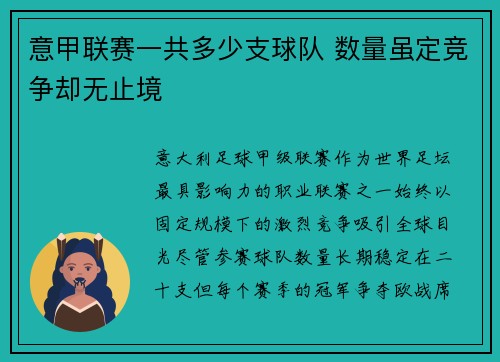 意甲联赛一共多少支球队 数量虽定竞争却无止境